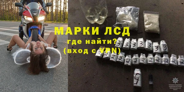 прущие грибы Абинск
