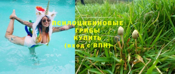 jwh Пересвет