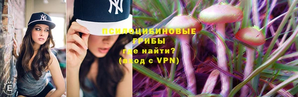 дурь Алексеевка