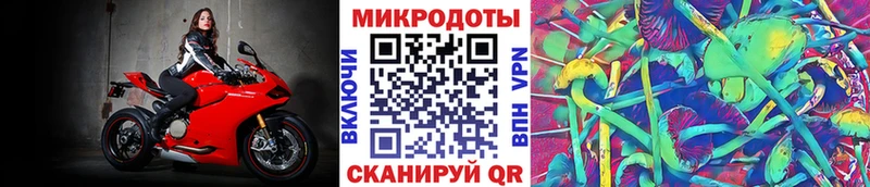 Галлюциногенные грибы Cubensis  Чкаловск 